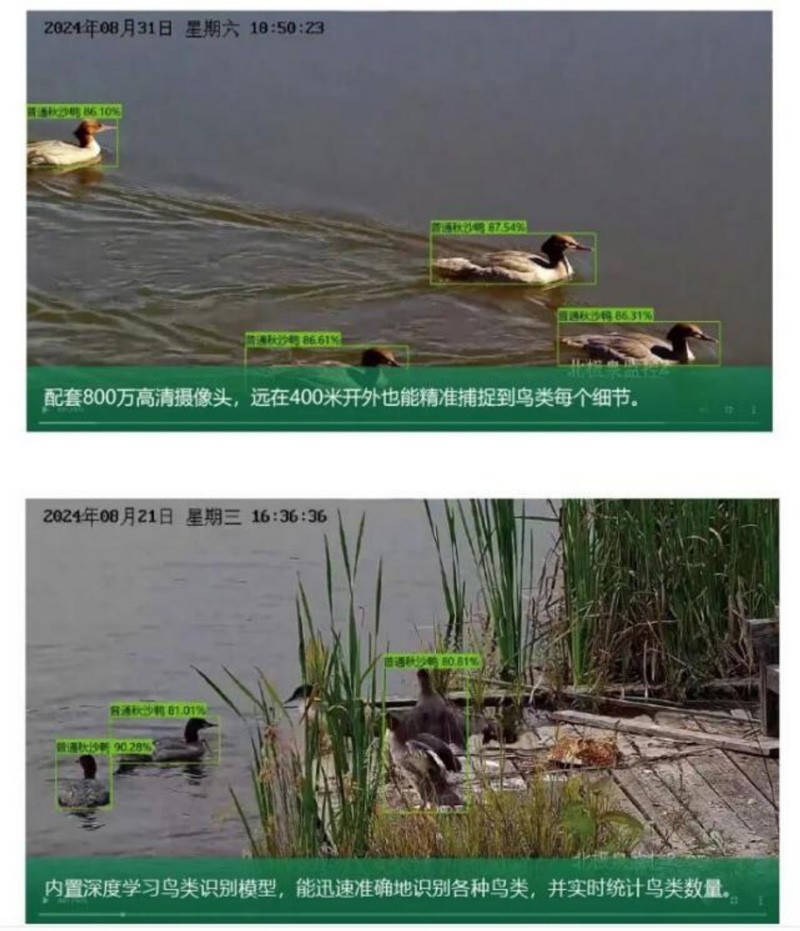 Sistema de identificación y monitoreo de aves